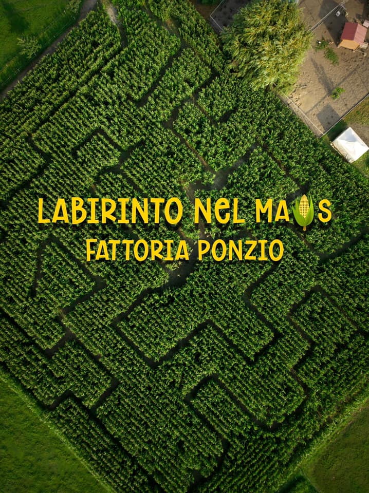 Labirinto nel mais visto dall'alto, Fattoria Ponzio